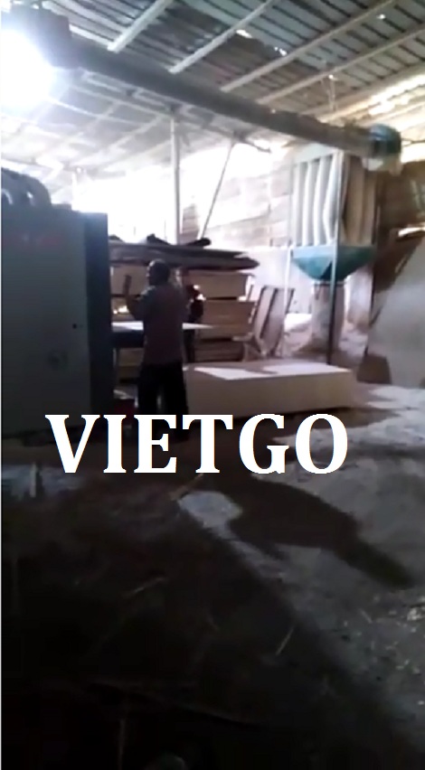 Ván bóc gỗ keo hoặc bạch đàn Vietgo